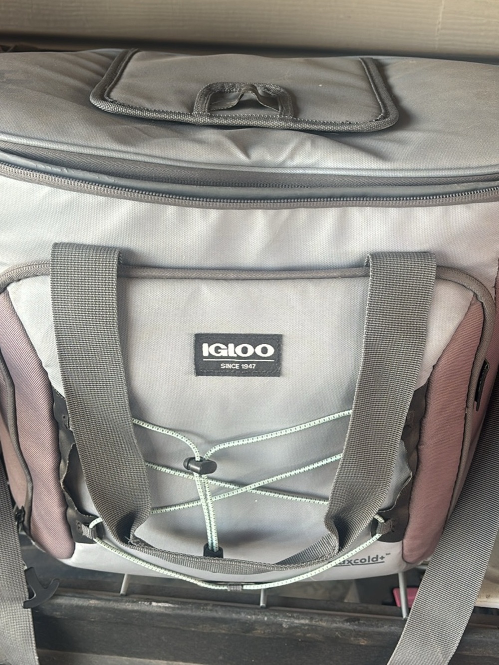 Igloo Gray Cooler Backpack with Light Green Bungee
